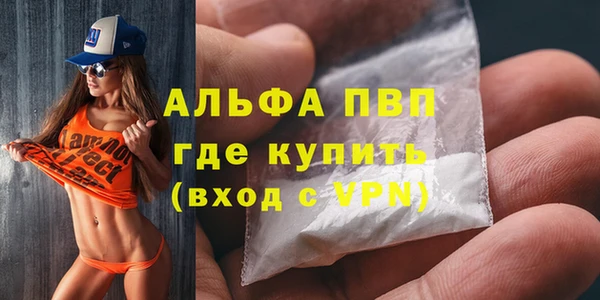 индика Алексин