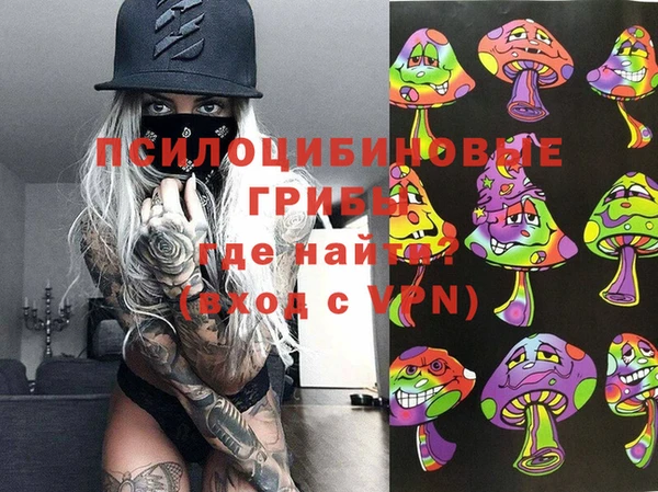 МДПВ Армянск
