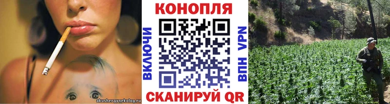Конопля AK-47  Урай 